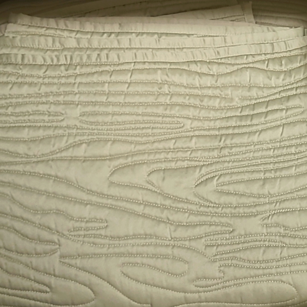Cindy Crawford Style Elise Light Sage Green Satin Woodgrain Coverlet / Q…